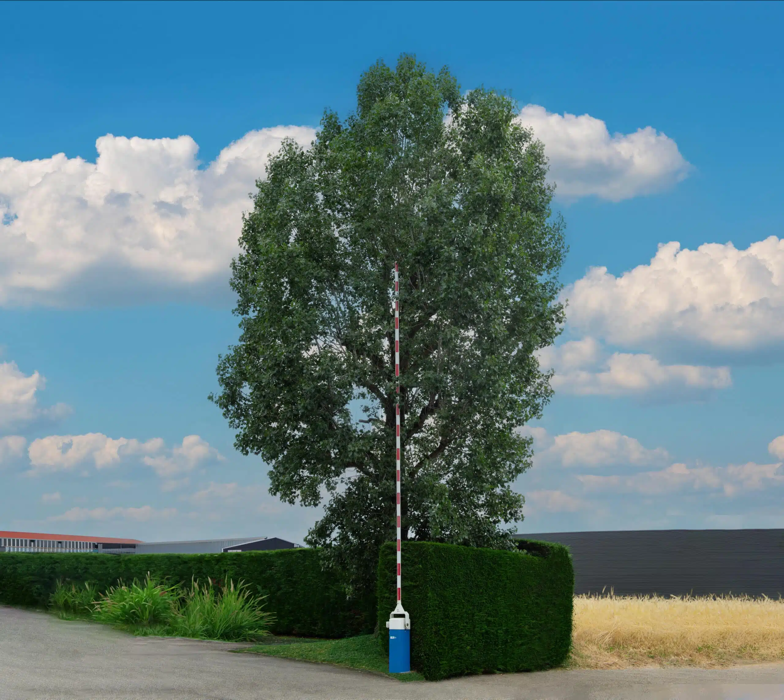 rese-1.jpg